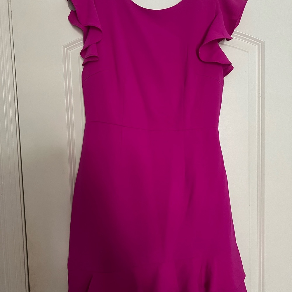 TCEC Fuchsia Ruffle Sleeve Mini Dress